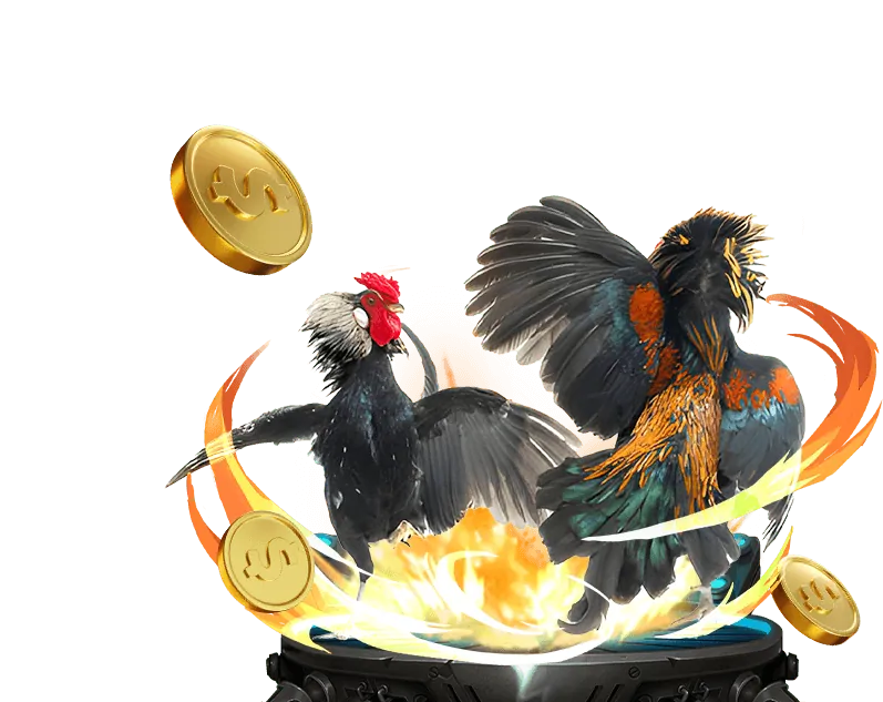 Tính năng ứng dụng Kubet